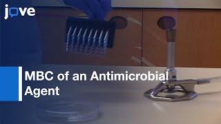 MBC of an Antimicrobial Agent for Planktonic Cells and Biofilm Cells | Protocol Preview