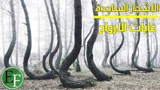 غرائب العالم الخمس التي عجز البشر عن تفسيرها