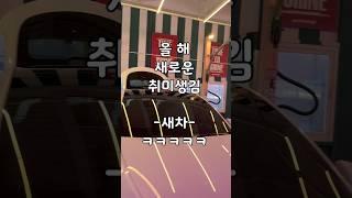#테슬라  #모델y #자동세차 #테슬라세차모드