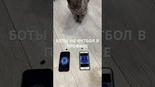 Прогноз на футбол Челси Эвертон Англия АПЛ 26.04.2025 #футбол