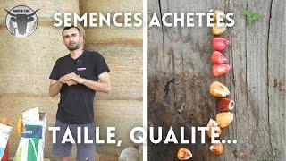 LES SEMENCES ACHETÉES ENCORE PERTINENTES? (cultures de printemps mangées ?)