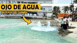 ¿Que esta Pasando en Playa del Carmen? Ojos de Agua