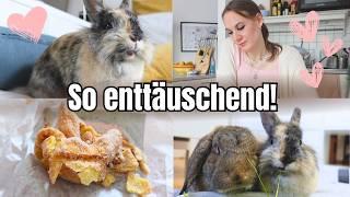 Das ist enttäuschend! Hat Kaninchen Maggie auch Probleme mit den Zähnen? Vlog