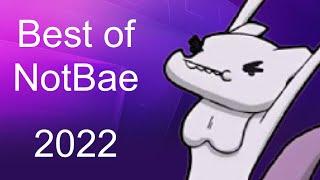 Best of NotBae 2022