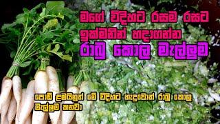 මගේ විදිහට රසම රස රාබු කොල මැල්ලුම | Rabu Kola Malluma