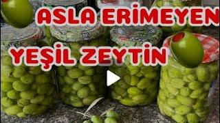 🫒İLK DEFA ZEYTİN KURACAKLARA 5 YIL KALSADA HİÇ ERİMEYEN KIRMA YEŞİL ZEYTİN TARİFİ🫒GREEN OLİVE