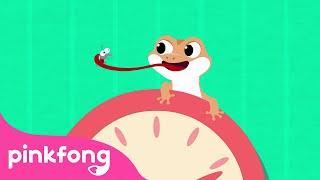 Cicak the Lizard Song | Indonesian Children's Songs | Lizard on the Wall | Pinkfong Baby Shark