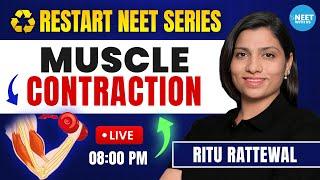 Muscle Contraction Mechanism | Locomotion and Movement | NEET Biology | Ritu Rattewal