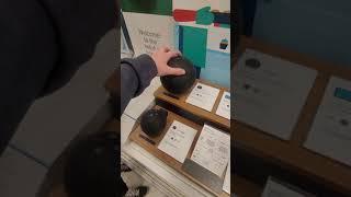 Alexa vs Alexa vs Google Assistant