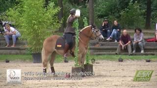 Working Equitation - Deutsche Meisterschaft 2019 - Johanna  Ueltzen auf Anton in Speed Trail