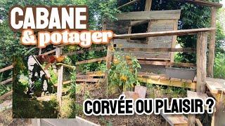 Le POTAGER, corvée ou PLAISIR ?