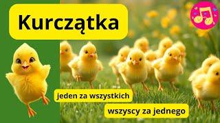 Kurczątka- jeden za wszystkich, wszyscy za jednego wesoła  piosenka o żółtych kurczątkach #kolorella