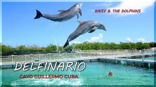 Dolphinarium | Cayo Guillermo | Cuba