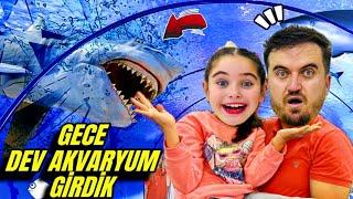 ELİF SİNEM GECE GECE DEV AKVARYUM TÜNELİNE GİRDİK !! AKVARYUM TURU !!