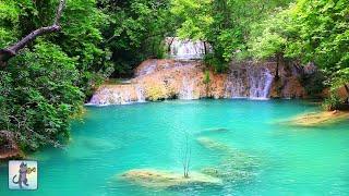 Forest Waterfall with Stunning Blue Water! A Peaceful Ambience for Spa, Yoga & Meditation