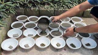 Amazing Cement Craft Tips For You // Garden Decoration And Design Ideas - Beautiful & Easy