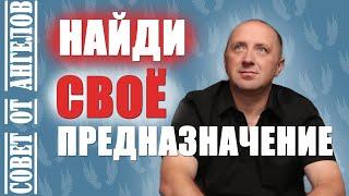 Найди свое предназначение. Совет от Ангелов - Михаил Агеев