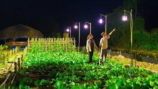 Install Wooden Lights To illuminate The Clean Vegetable Garden! Sustainable Farm Vegetable Garden