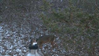 44 Magnum vs Deer