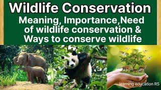 Meaning,need & importance of wildlife conservation ll ways to conserve or save wild life