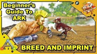 How to Get Started in ARK - A Beginners Guide - Breeding For Dummies - Ark: Survival Evolved [S4E18]