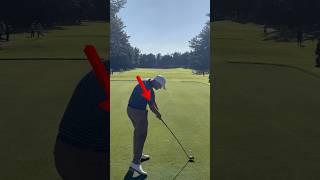  adam scott swing slow mo- 팔은 어떻게 클럽을 아래로 끌어내리는가? 전문가에게 배워보자