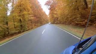 Fall , driving through forrest