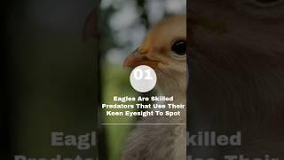 EAGLE KA KAHANI || EK BAAR JARUR DEKHE️‍️ ||  #documentary #facts #birds