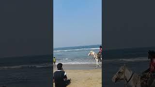 Marina Beach in Chennai.            #sea #waves #beach #water #ocean #blue #nature #life #seafood