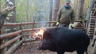 Life in the forest | he came to warm up | Replaced dangerous insulation in the steam room.