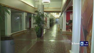Popular arcade, Kakaako shops relocate to neighboring districts