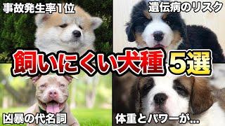 【初心者は注意】飼うのが難しい大型犬5選！