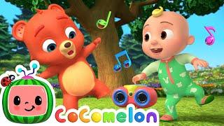 Teddy Bear  Song | CoComelon Animal Time | Animals for Kids
