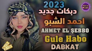 Ahmet El Şebbo // Gule Habo 2023 // احمد الشبو قولا دبكات جديد