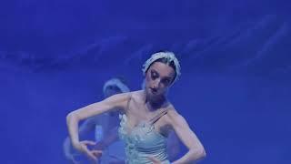 Grand Classic Ballet — Schwanensee