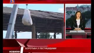 М-студіо новини Закарпаття за 19 липня 2012 року