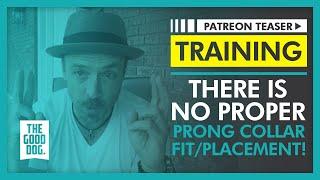There is NO proper prong collar fit/placement! | Patreon Teaser | The Good Dog Training