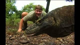 The Crocodile Hunter - Best Of Steve Irwin - S03 E05