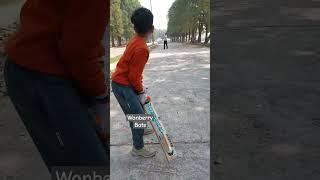 Wonberry Cricket Bats #youtubeshorts #cricket #viral #shorts