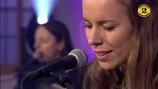 MEADOWLAKE | 4 songs live | Eurosonic 2019 |  2 Meter Sessions LIVE in Der Aa-Kerk