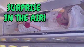 She surprised him on an airplane  #beauty #surprise #fun #funny #life #travel #airplane #love