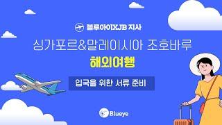 [블루아이]싱가포르&말레이시아 조호바루 해외여행 입국을 위한 서류 준비