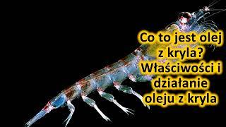 Co to jest olej z kryla? Wlasciwosci i dzialanie oleju z kryla