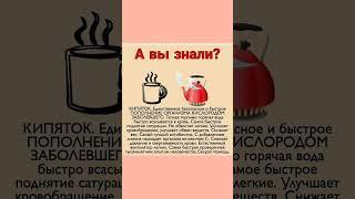 А ВЫ ЗНАЛИ? #авызнали #авызналиэто #кипяток #полезно #полезныесоветы #полезныйконтент #здоровье #зож