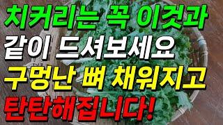 치커리는 꼭 이것과 같이 드셔보세요. 구멍난 뼈 채워지고 탄탄해집니다! 골다공증에 좋은 음식!