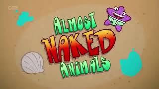 Almost Naked Animals - Intro (CITV Airing)