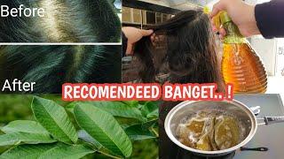 TERBUKTI !! RAMBUT RONTOK HILANG RAMBUT TUMBUH MENGGILA DENGAN DAUN INI