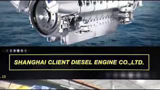 About the #machinery engine or #shanghai diesel engine,As a supplier in China.