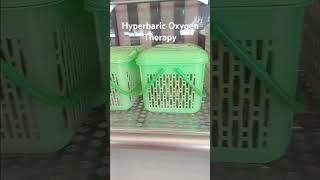 Hyperbaric Oxygen Therapy in Panalai Animal Hospital