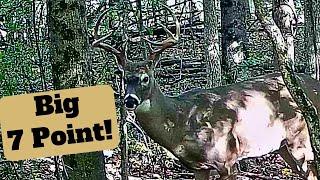 First Deer Hunt 2024 Ohio Public Land -  Saw a Shooter Buck